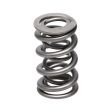 Manley Chevrolet LS1 And LT1 .800 Lift Valve Spring -1.324 Double (Single) Sale