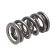 Manley Chevrolet LS1 And LT1 .800 Lift Valve Spring -1.324 Double (Single) Sale