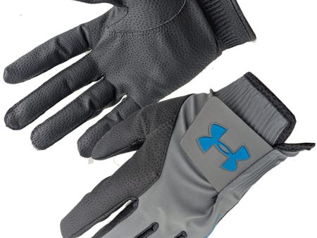 Under Armour Storm Golf Gloves (Pair) - Steel Royal Online